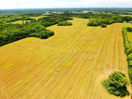 VacantLand space for Sale at Hobbie Road Farm in Snowdoun