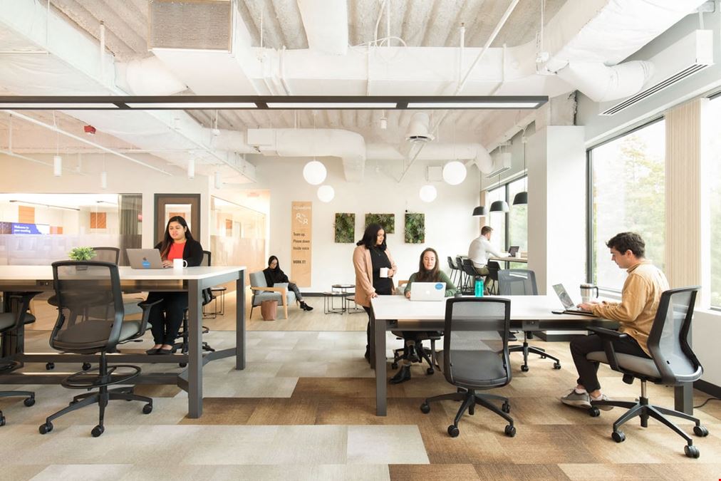 Workbar - Woburn