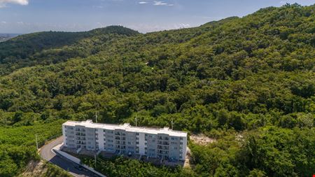 18.36 Acre Agricultural Land @ Ponce, Canas Ward - For Sale