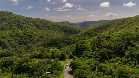 18.36 Acre Agricultural Land @ Ponce, Canas Ward - For Sale