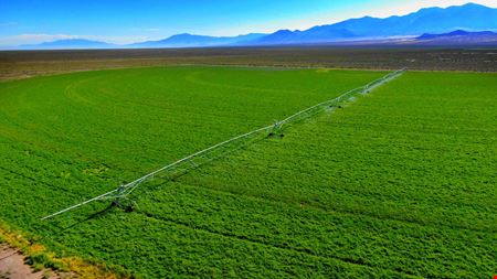 VacantLand space for Sale at Railroad Valley Rd in Railroad Valley
