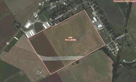 Other space for Sale at 79.6± Acres of Land in Italy