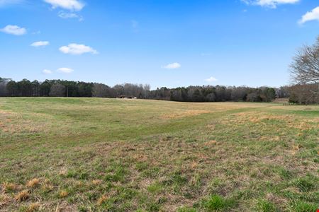 174 Cline Dr