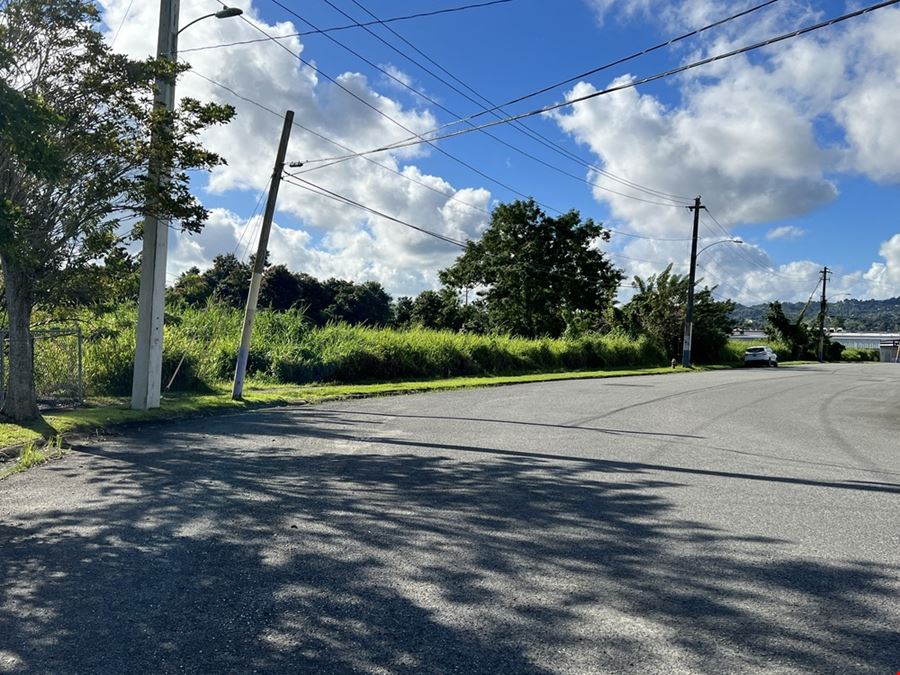 Las Piedras Industrial Park - Vacant Lots 12 & 13 - For Sale