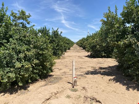 VacantLand space for Sale at Citrus Property - County 19th Street and Avenue A in Yuma