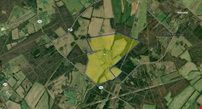 11312 Timbuktu lane (213.5 Ac)