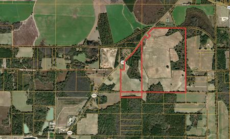305.50 Acres Campbellton Land Development Opportunity