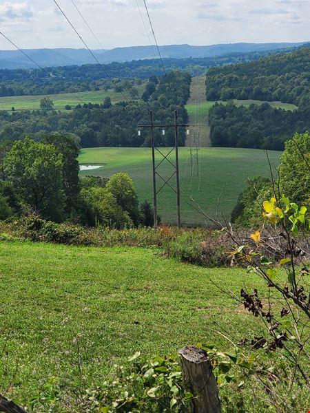 Pine Creek Ranch - Eureka Springs, AR
