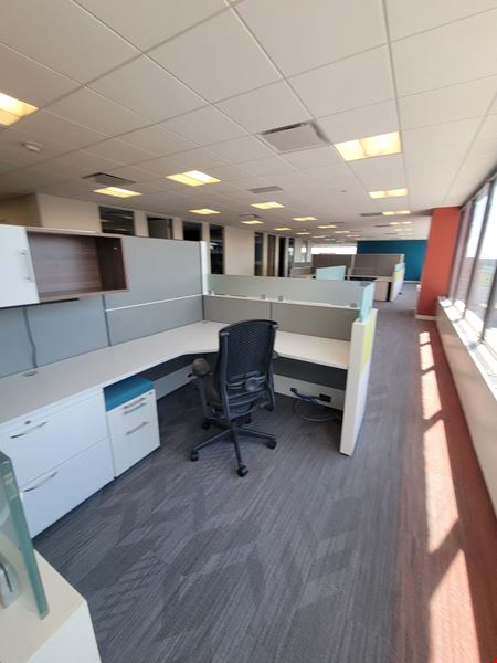 Coalition Space - Downtown Denver