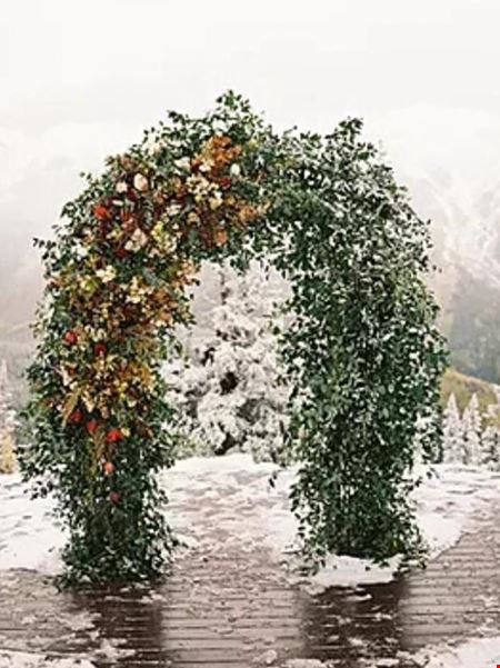Bridal Shop and Land
