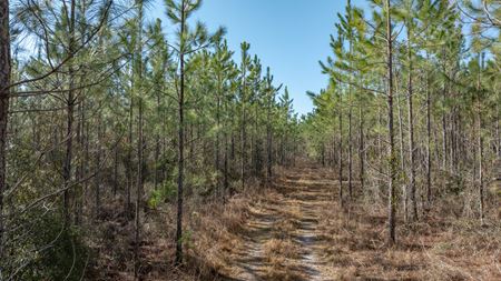 VacantLand space for Sale at Millwood Timberland East in Greenville