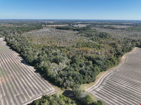 Marianna Farm and Hunting