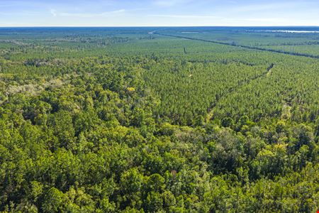 Clay County Timber and Recreation