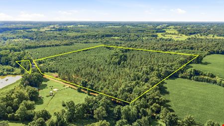 VacantLand space for Sale at Richey Timber 40 Acres in Dawson