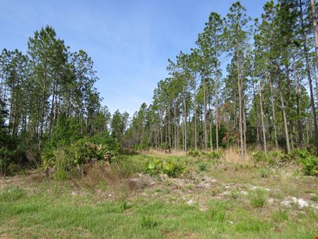 Otter Creek Farm & Recreational Tract