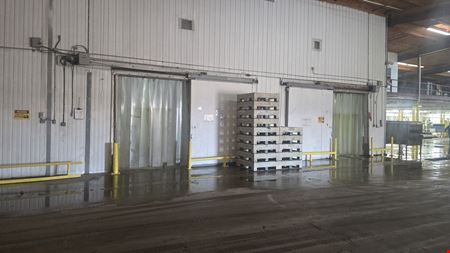 VAL VERDE VEGETABLE CO, INC-2200 Trophy Drive