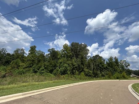6.02 Acres Lakeland Drive