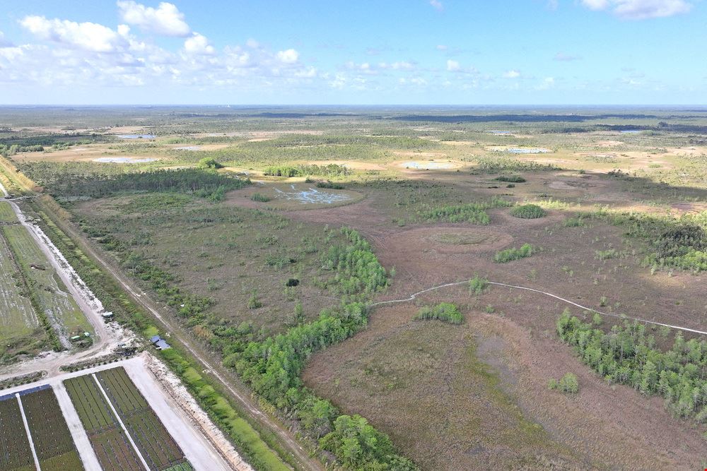 Jupiter 640 Acre Recreational Tract