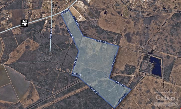 For Sale I ±283 Acres on FM 2004