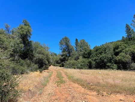 ±20 Acres of Level Land in Brownsville, CA