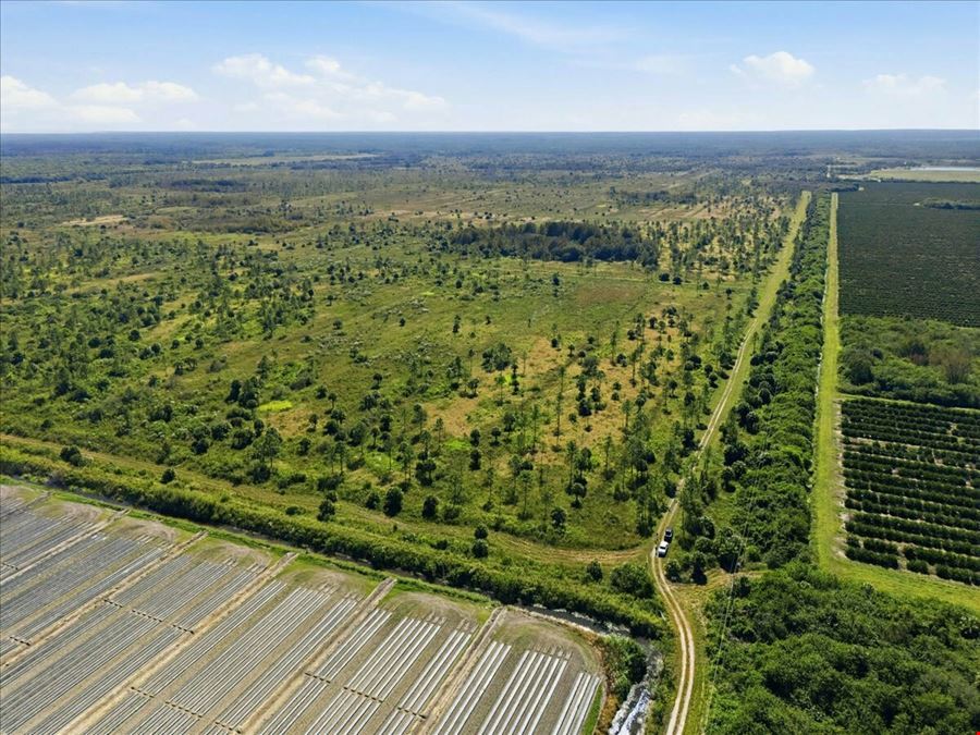 Big Cypress Preserve