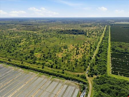 VacantLand space for Sale at Big Cypress Preserve in Immokalee