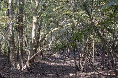Dodge County River Property