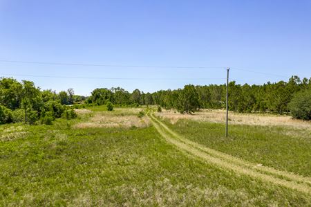 VacantLand space for Sale at South Lake County Acreage in Clermont