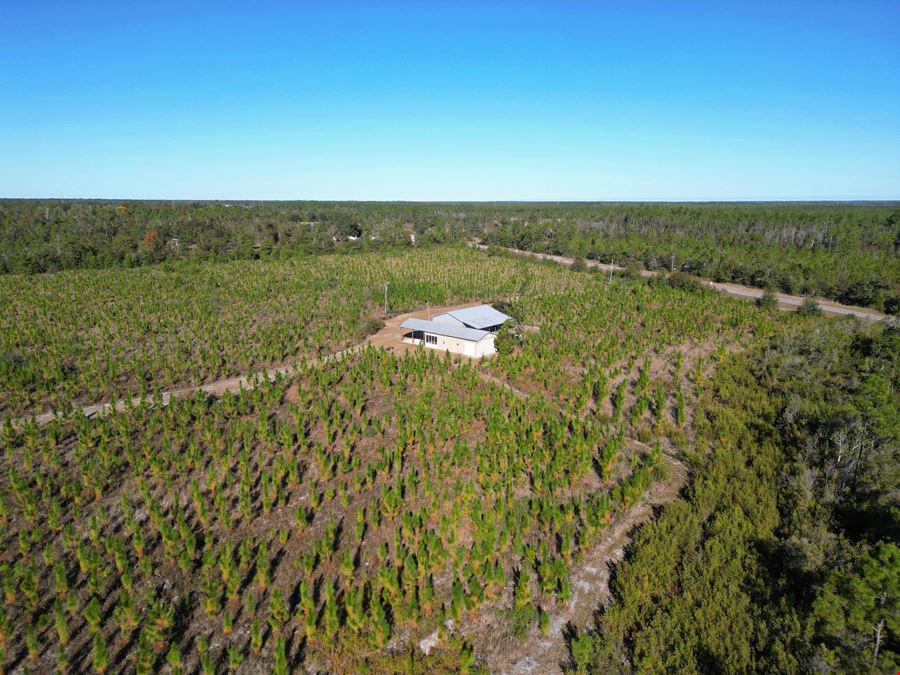 202 Acres in Northwest Florida –Timber, Hunting & Coastal Access