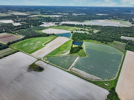 VacantLand space for Sale at Ellenton Irrigated Farm in Ellenton