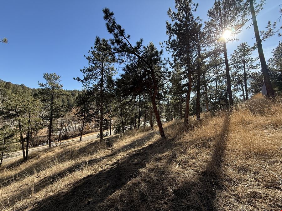 ±0.95 Acre Transitional Land Opportunity | Evergreen