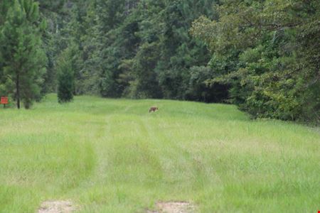 Florida River Timber & Recreational Tract