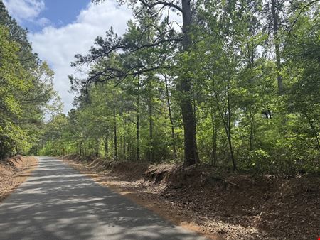 Mira Levee and Hwy 71 Land (98.37 acres)