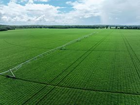Rollings Farm - Madison County