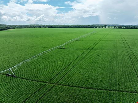 Rollings Farm - Madison County