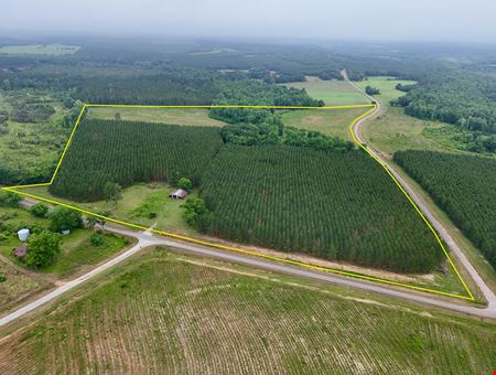 VacantLand space for Sale at Searcy Branch Timber and Rec in Clopton