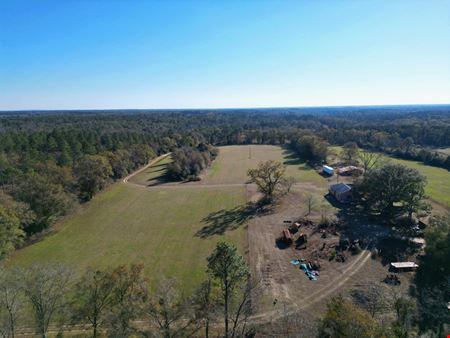 VacantLand space for Sale at Secluded 240-Acre Cattle Farm in NE Holmes County, FL with Creek, Hunting Opportunities & Nearby Amenities in Bonifay