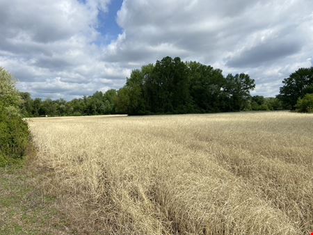 16 STRATEGIC CONTIGUOUS ACRES