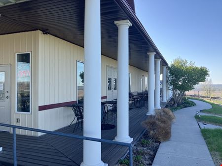 Soaring Wings Vineyard