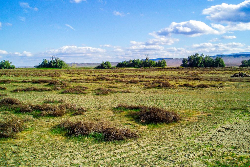 SFR Development Land