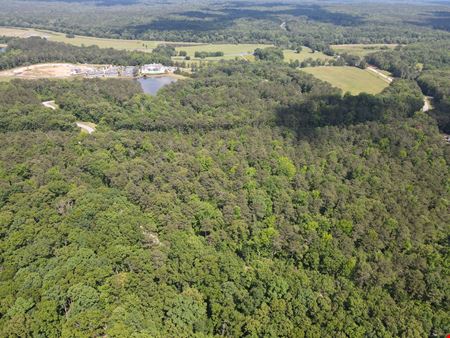 Chattahoochee Meadows - 713.08 Acres