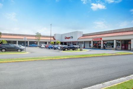 Retail space for Rent at PLAZA LAS FLORES in AIBONITO