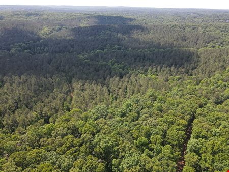 Chattahoochee Meadows - 713.08 Acres