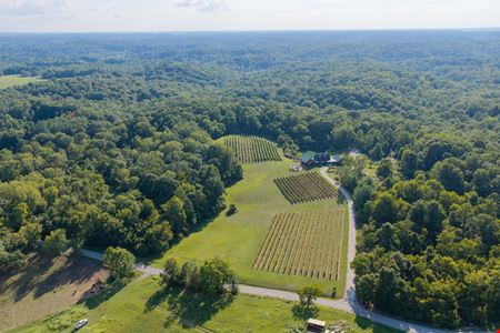 Shade Winery