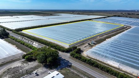 Florida Rubies Agricultural Investment Property