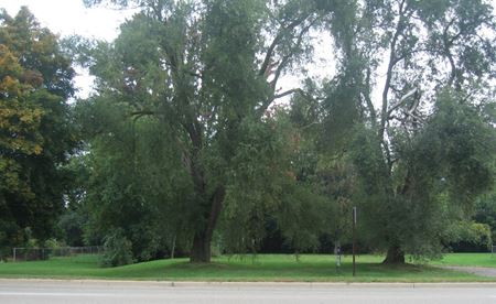 VacantLand space for Sale at Ypsilanti Vacant Commercial Lot for Sale in Ypsilanti