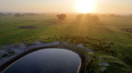 Palm Hammock Preserve
