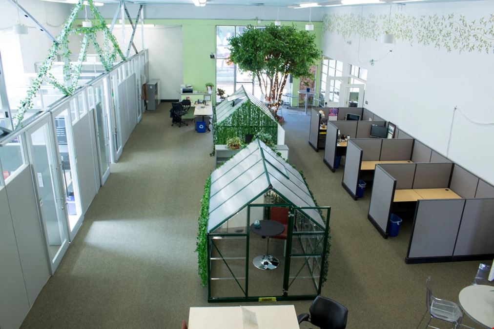 Satellite Workplaces - Greenhouse Coworking