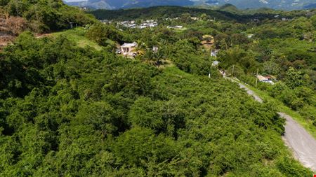 VacantLand space for Sale at 18.36 Acre Agricultural Land @ Ponce, Canas Ward - For Sale in Ponce