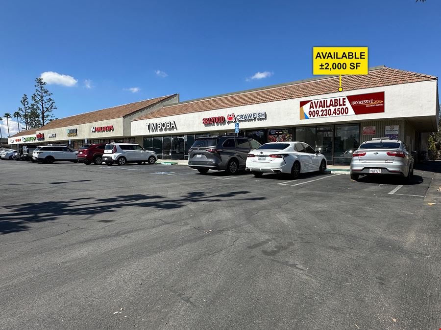 Magnolia Place to Shop